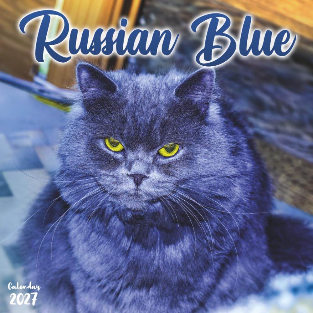 ler totalmente Russian Blue 2027 Calendar: 12 Months of This Silver-Coated Green-Eyed Breed