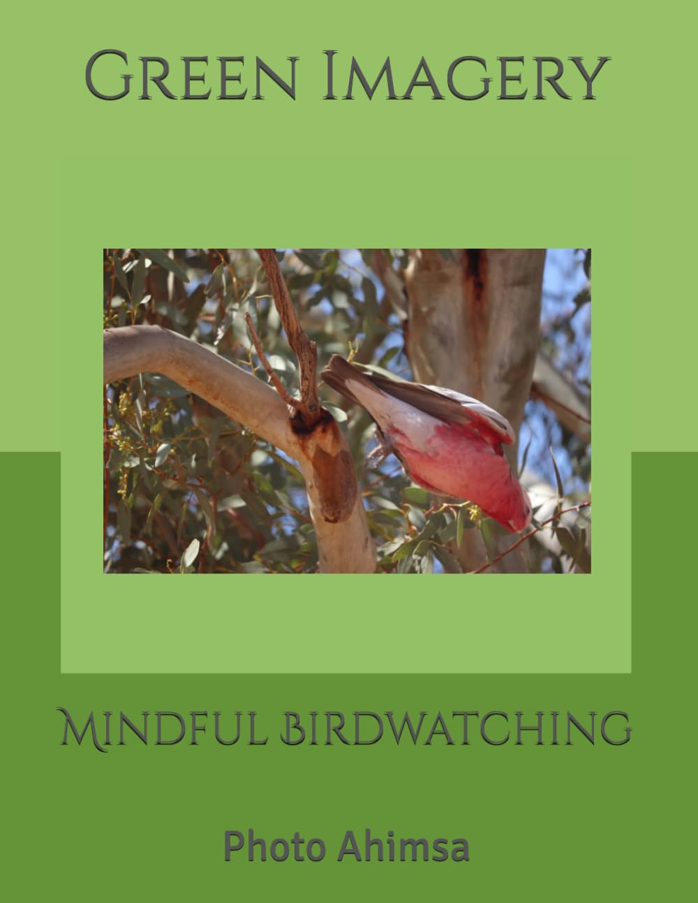 Mindful Birdwatching: Photo Ahimsa baixar o livro de graça