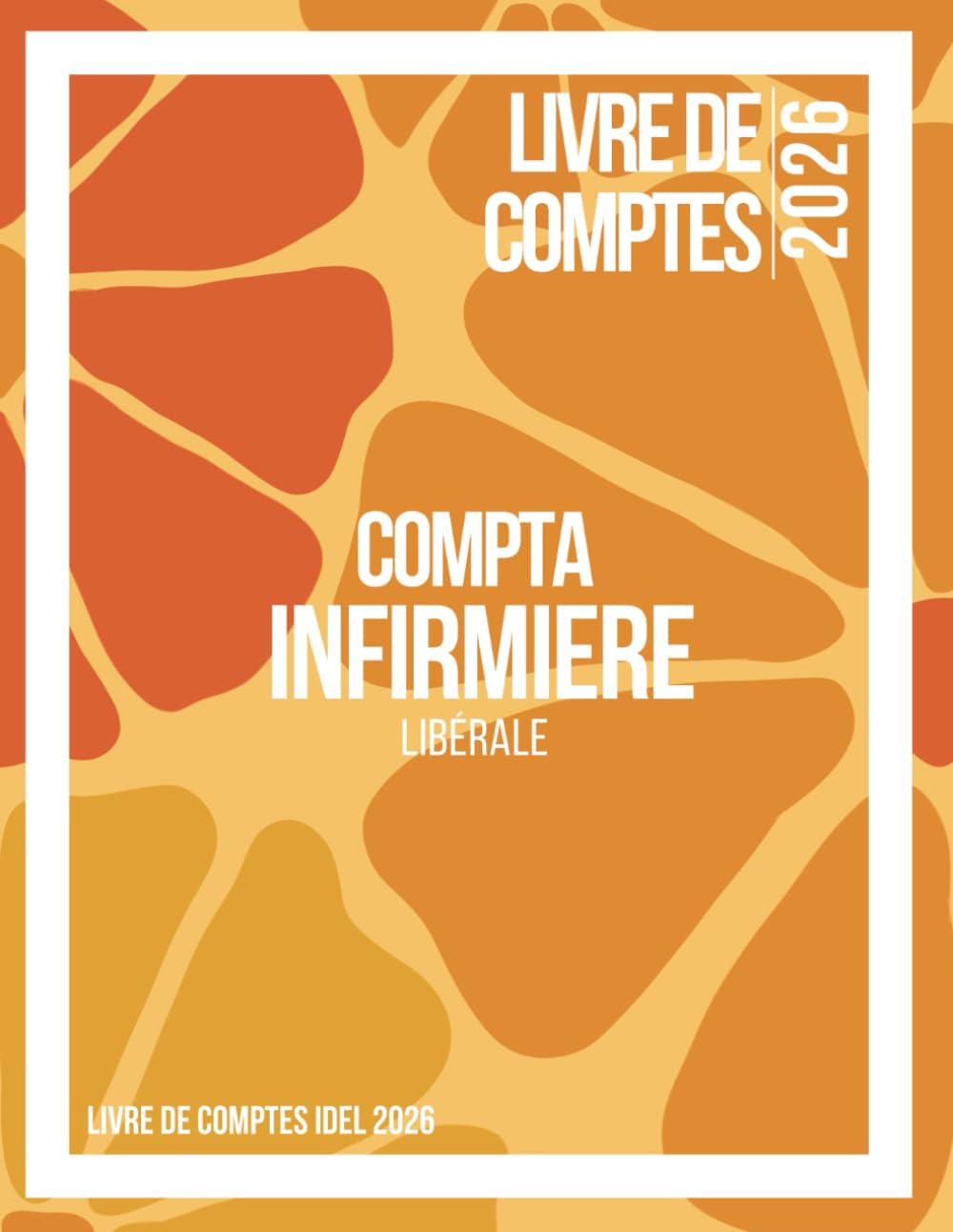 Livre de Comptes Infirmière Libérale: Cahier de comptes pour infirmière libérale, Suivi mensuel des recettes, dépenses, kilomètres, planning et administratif (French Edition) baixar livro de graça