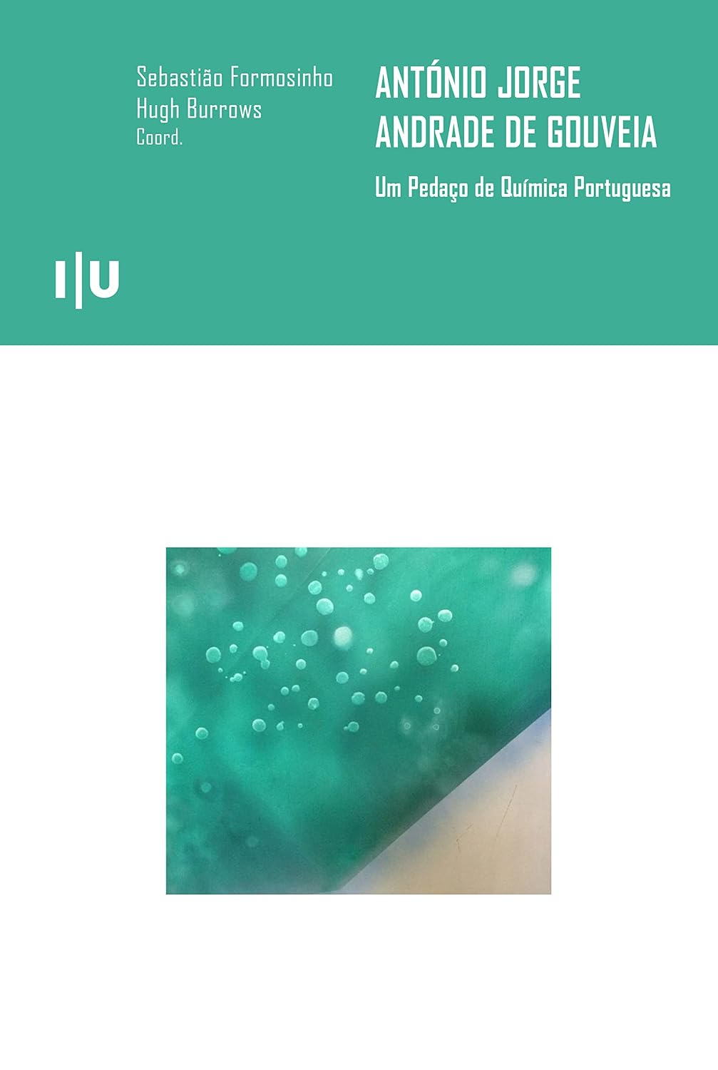 ler totalmente António Jorge Andrade de Gouveia. Um Pedaço de Química Portuguesa (Ciências e Culturas Livro 31)