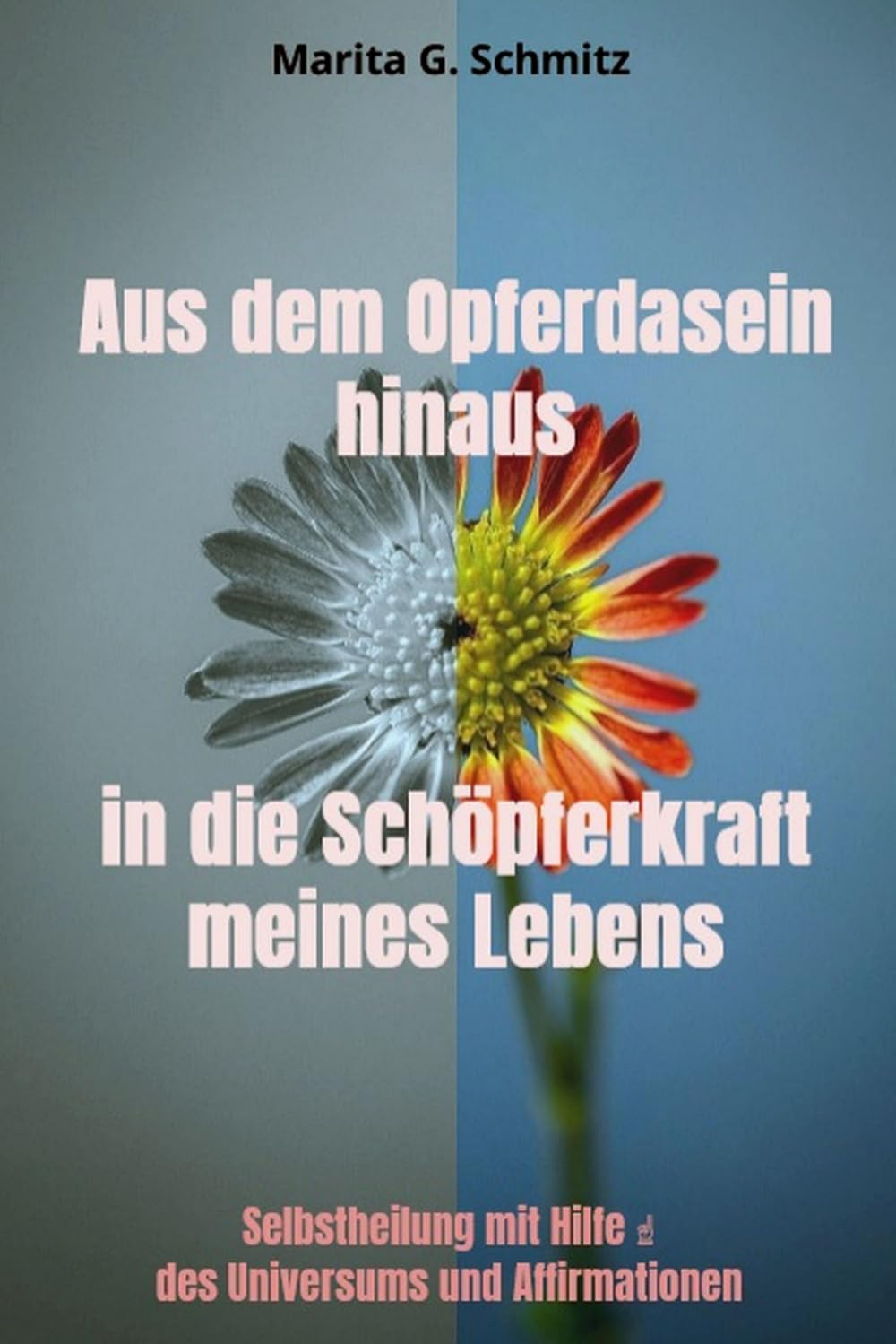capítulo por capítulo baixar Aus dem Opferdasein hinaus in die Schöpferkraft - meines Lebens: Selbstheilung mit Hilfe des Universums und Affirmationen (German Edition)