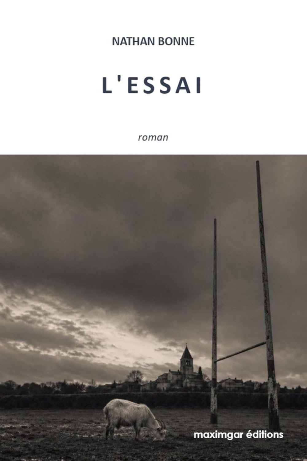 L'Essai (French Edition) baixar o livro de graça