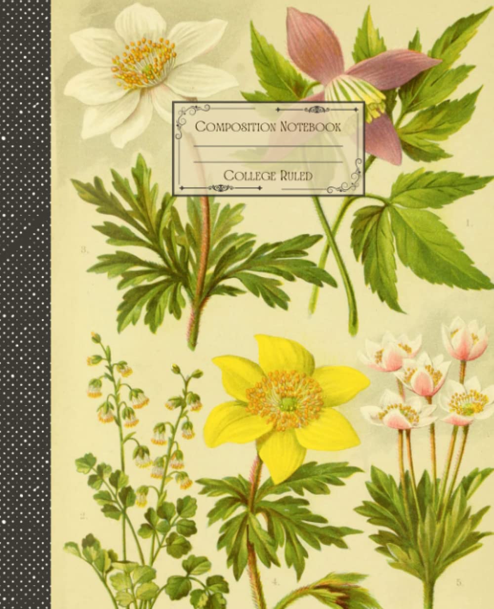 Vintage Botanical Floral Composition Notebook College Ruled: Antique Botanical Floral Illustration | Classic Composition Notebook for Writing and... for College Students, School and Work. baixar livro de graça