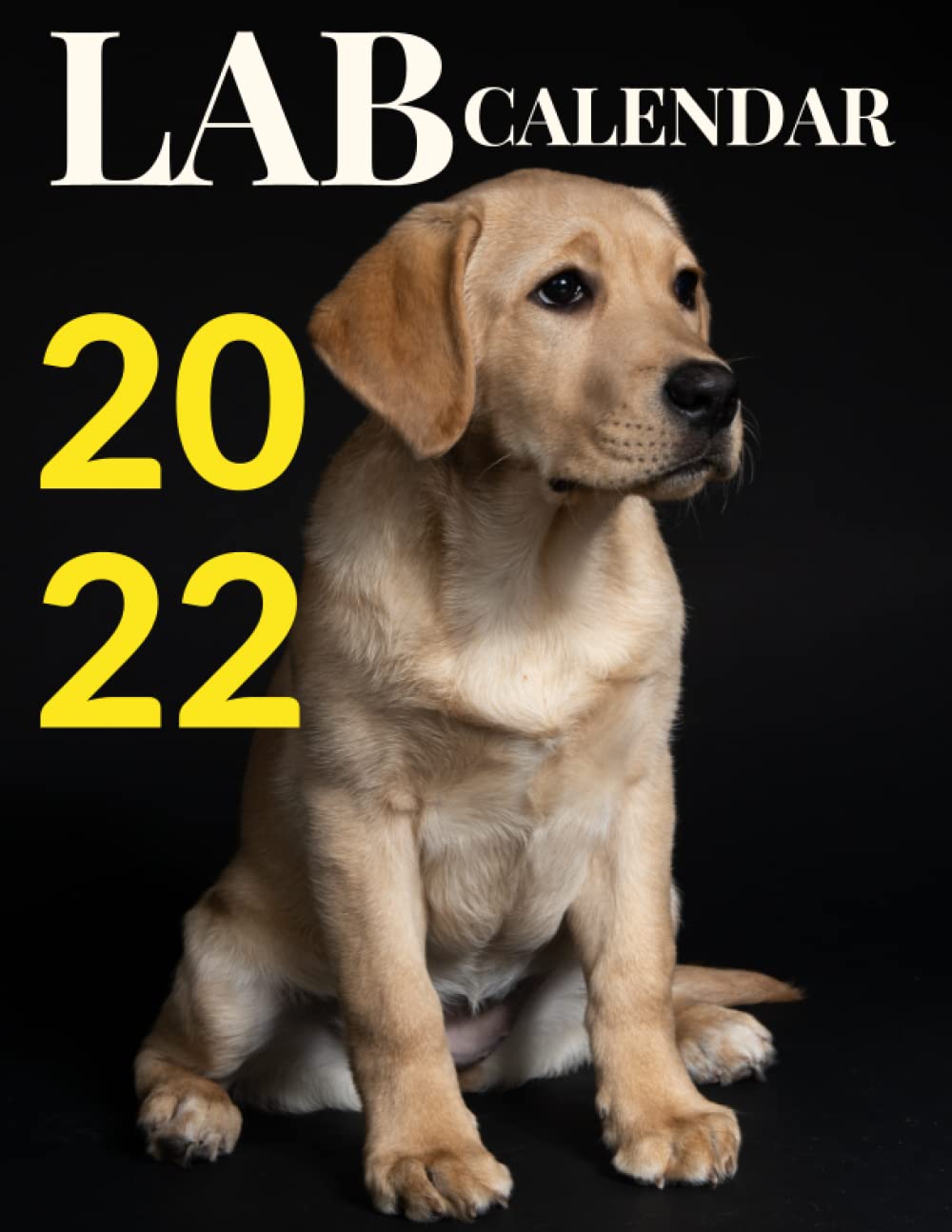 ler totalmente LAB 2022 calendar: monthly planner with a cute picture for every month gift idea for lab & black lab lovers calendar 2021-2022 with high quality Home & Office Calendar 12 month