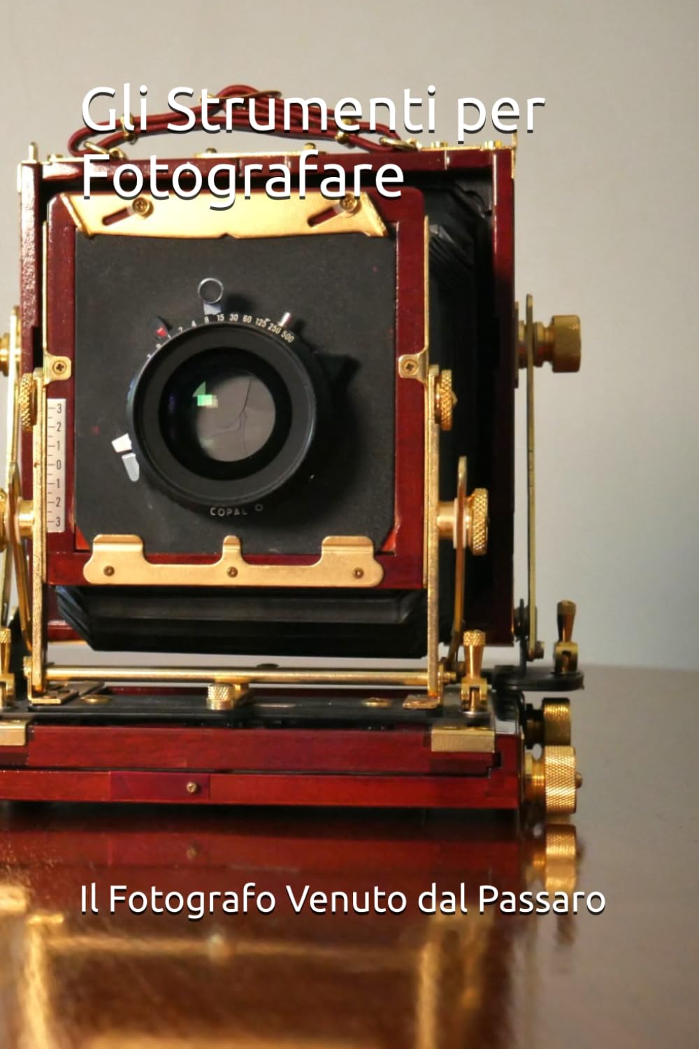 capítulo por capítulo baixar Gli Strumenti per Fotografare (Italian Edition)