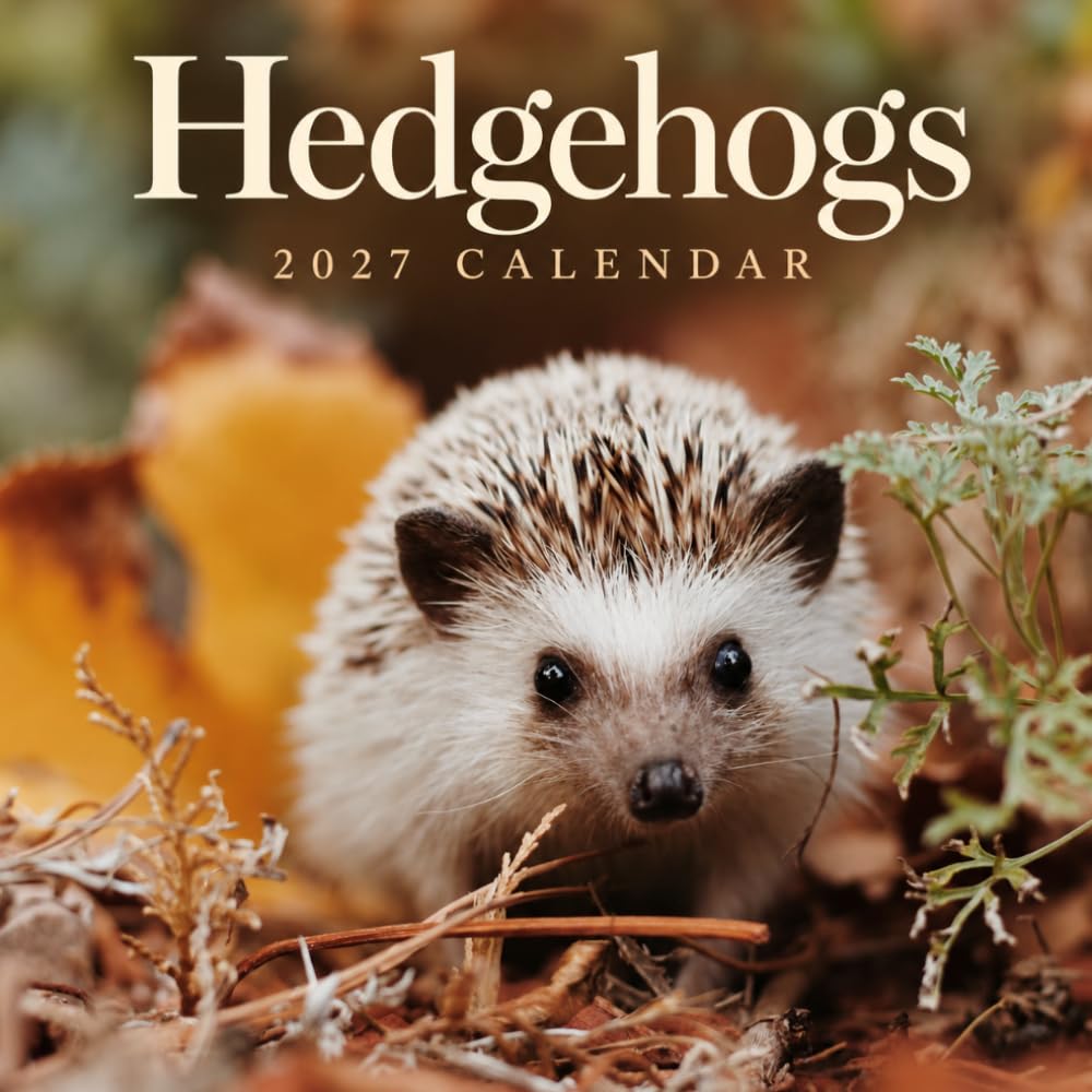 Hedgehogs Calendar 2027: Small Mammal Photography