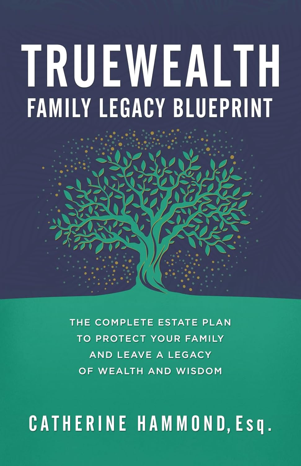 The TrueWealth Family Legacy Blueprint: The Complete Estate Plan to Protect Your Family and Leave a Legacy of Wealth and Wisdom baixar o livro de graça