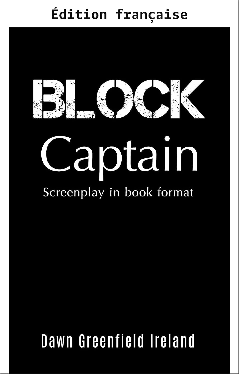 Capitaine de quartier (French Edition) baixar livro de graça