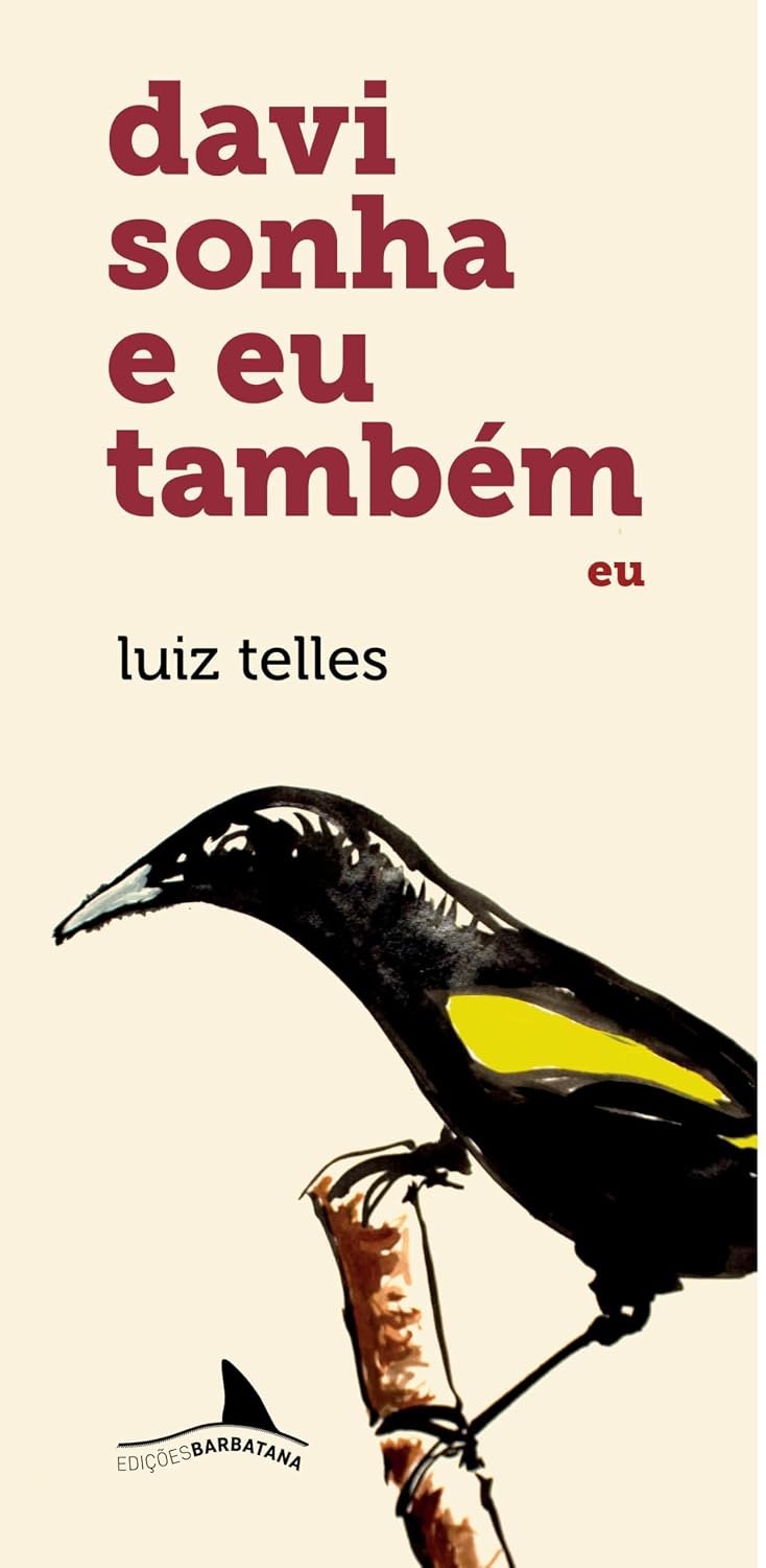 Davi sonha e eu também: Eu: Vol. 1 baixar livro de graça