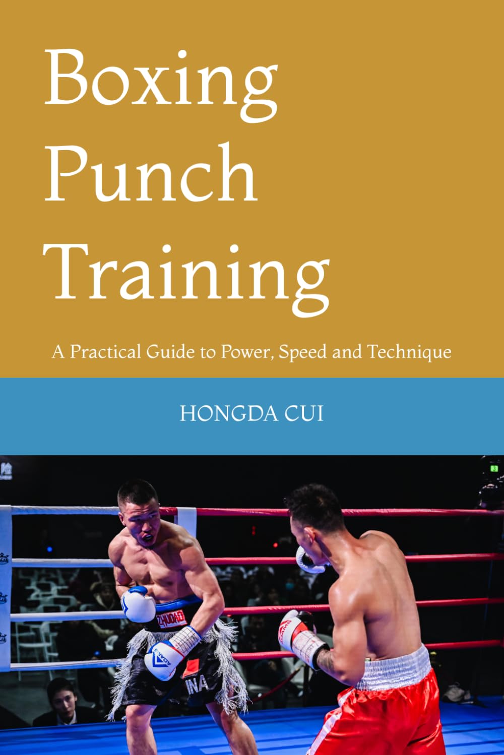 Boxing Punch Training: A Practical Guide to Power, Speed and Technique baixar o livro de graça