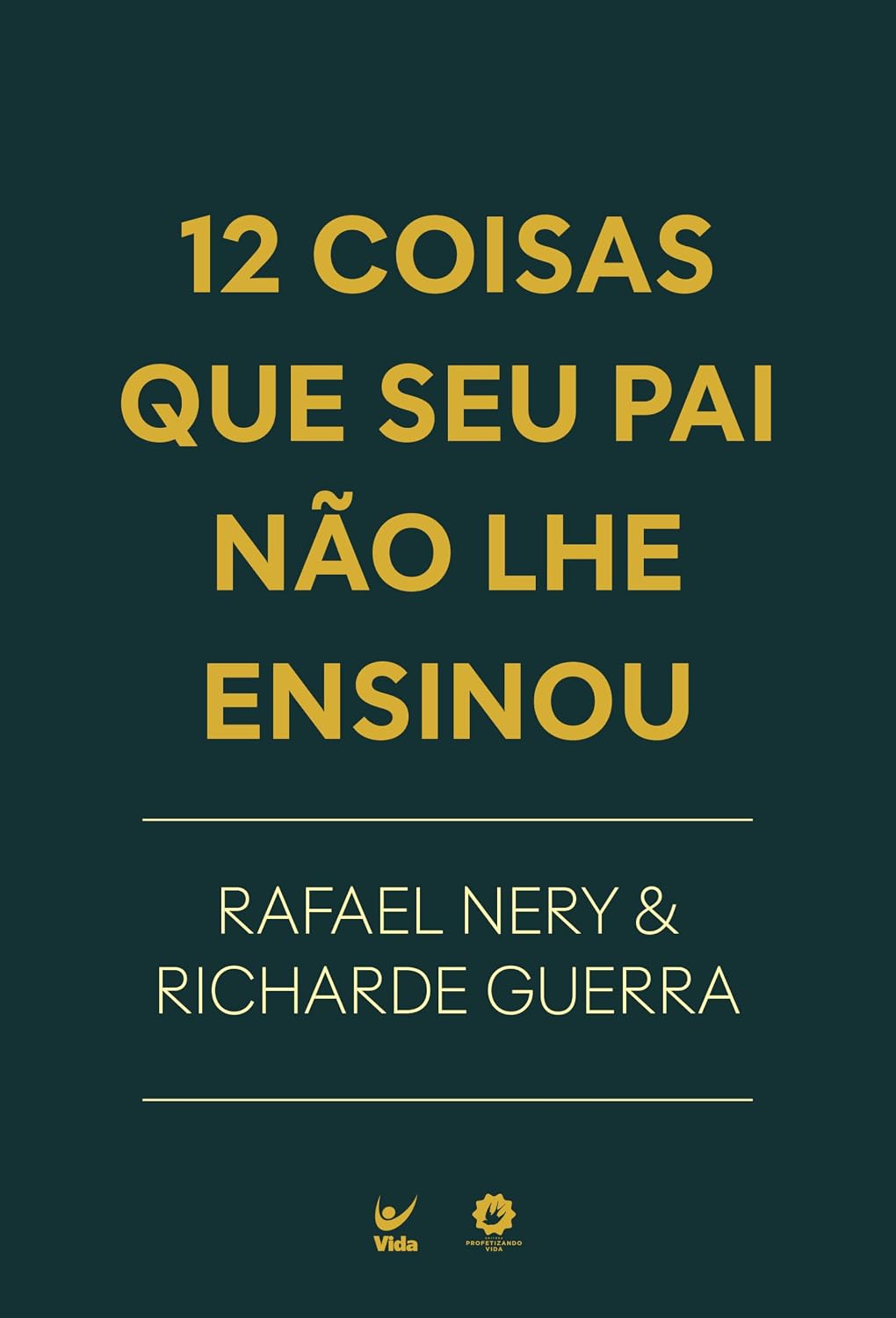 12 Coisas que seu Pai não lhe Ensinou baixar livro de graça