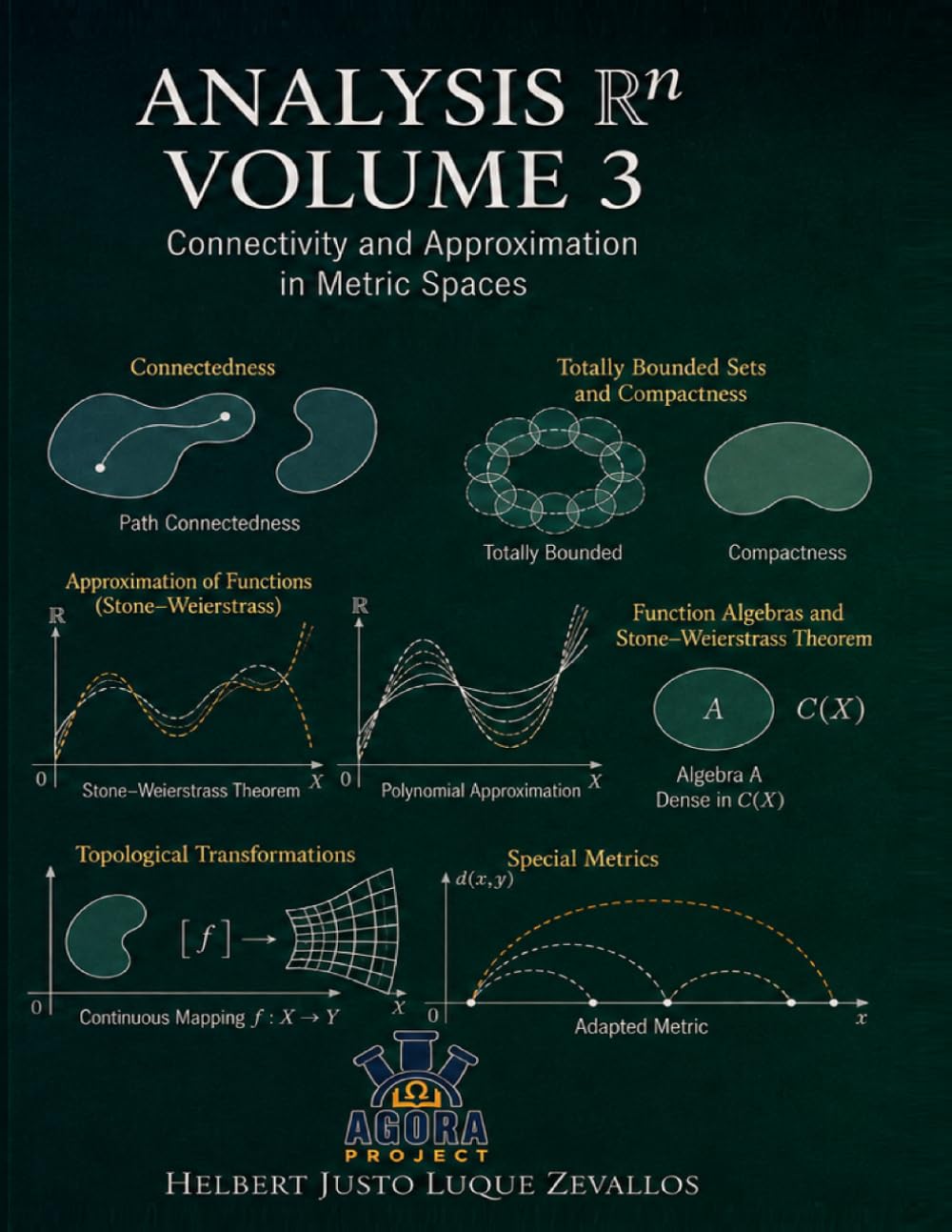 Analysis in Rn Volume 03: Connectivity and Approximation in Metric Spaces (Graduate Mathematics)