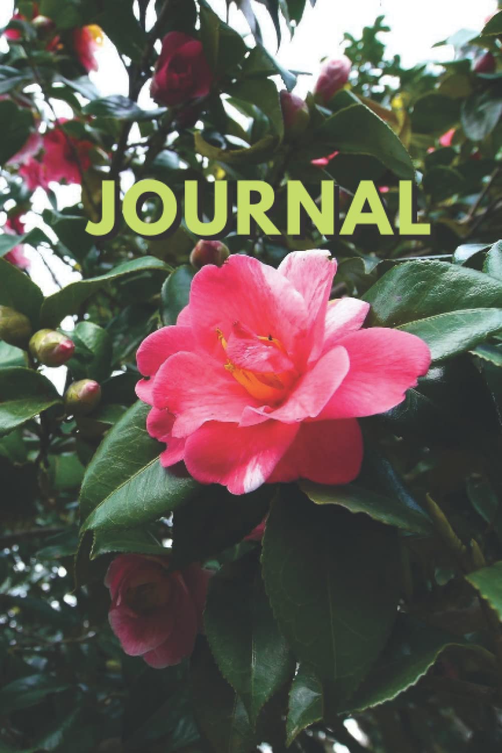ler totalmente Journal: Beautiful Journal / Notebook featuring Camelia Flower