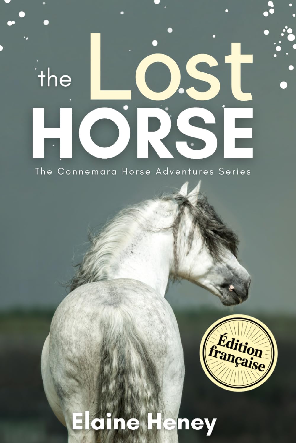 The Lost Horse - Édition Française: The Connemara Horse Adventures Series (Les Aventures du Connemara – Édition française) (French Edition)