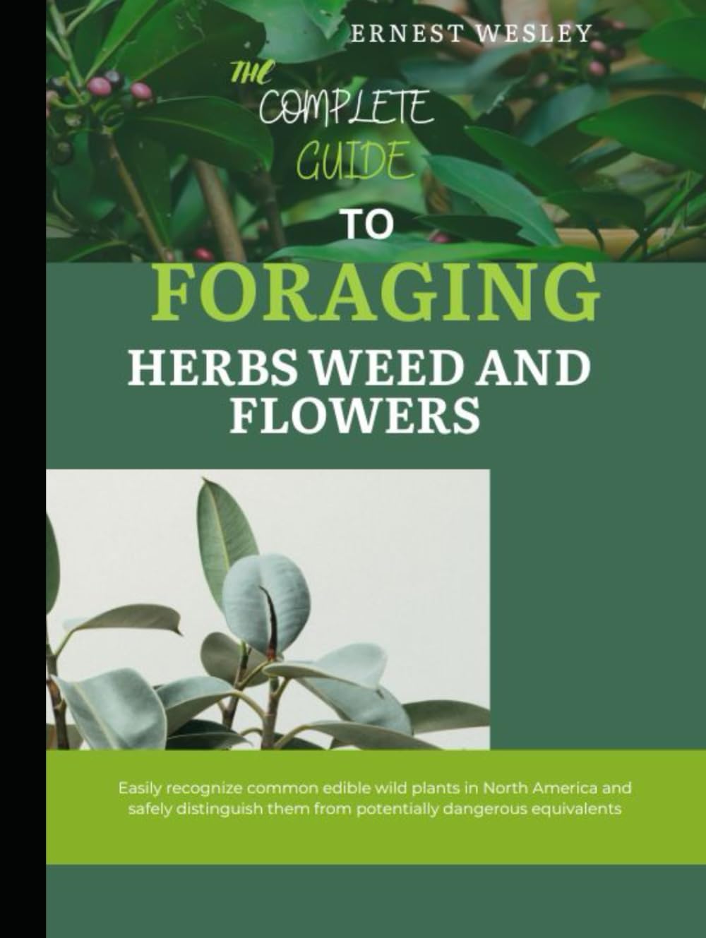 The Complete Guide to Foraging Herbs, Weeds, and Flowers: Easily recognize common edible wild plants in North America and safely distinguish them from potentially dangerous equivalents baixar livro de graça