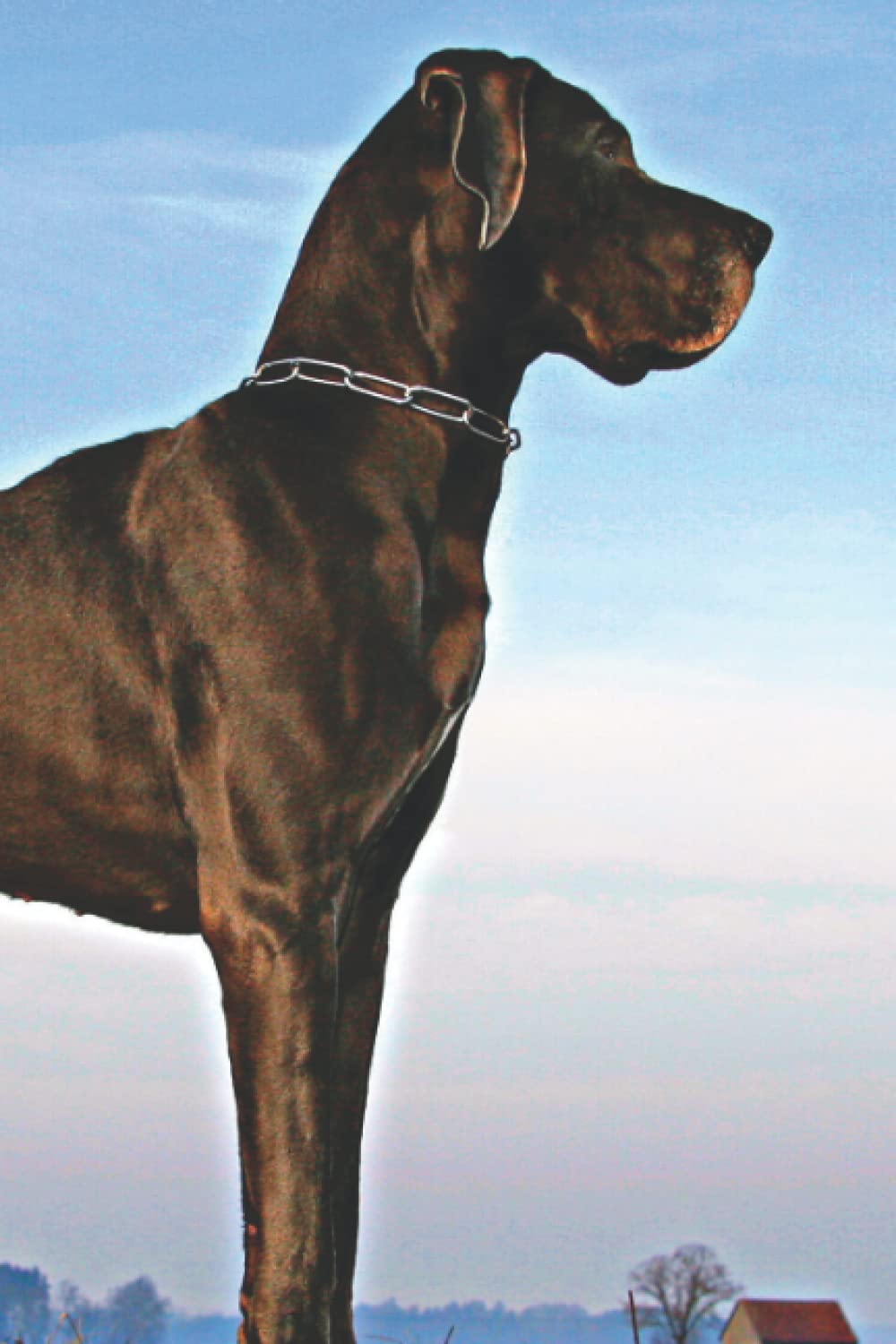 capítulo por capítulo baixar Great Dane Lover's Journal: For Continual Self-Improvement and Focus