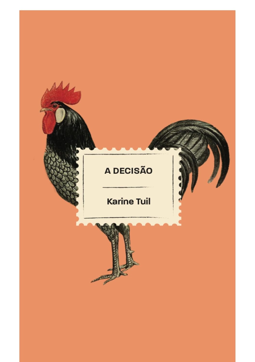 ler totalmente A decisão