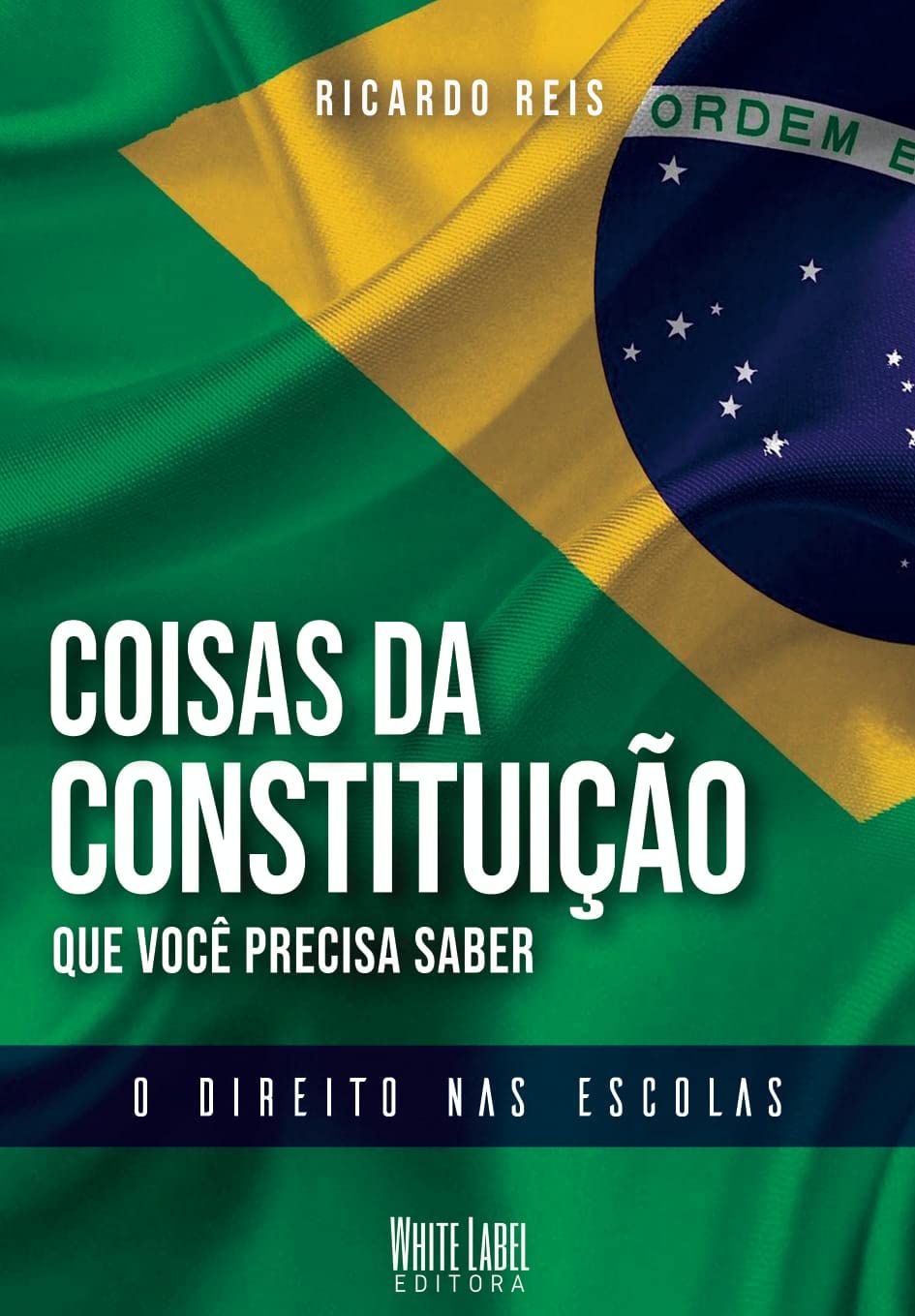 Coisas da Constituição que Você Precisa Saber: O Direito nas Escolas baixar livro de graça