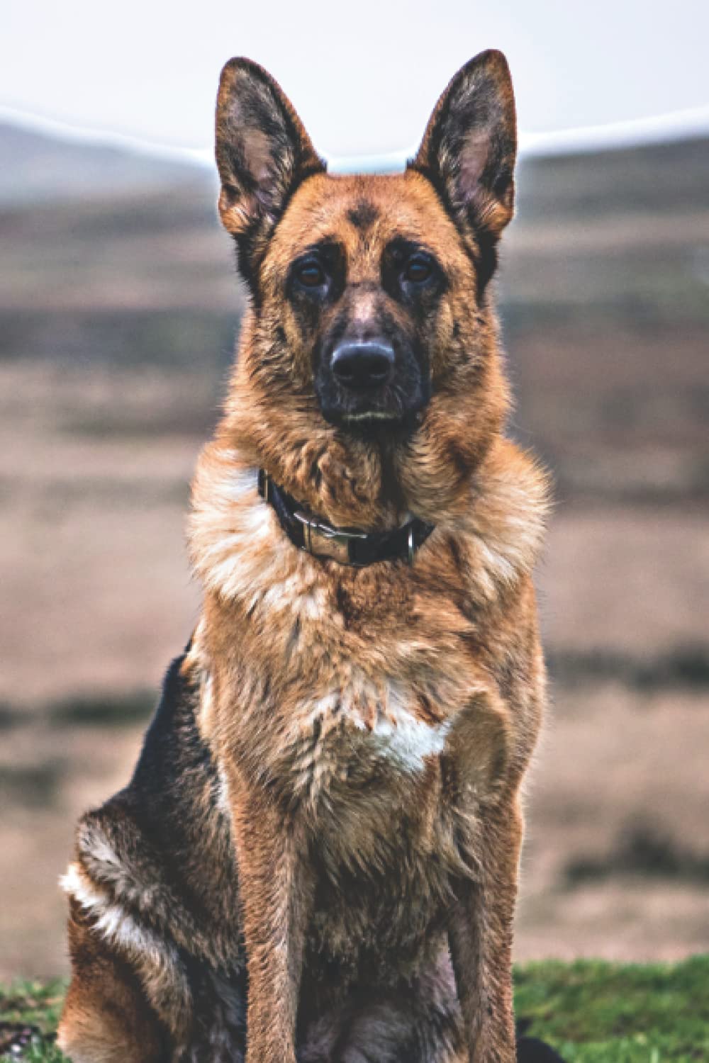 German Shepherd Lover's Journal: For Continual Self-Improvement and Focus