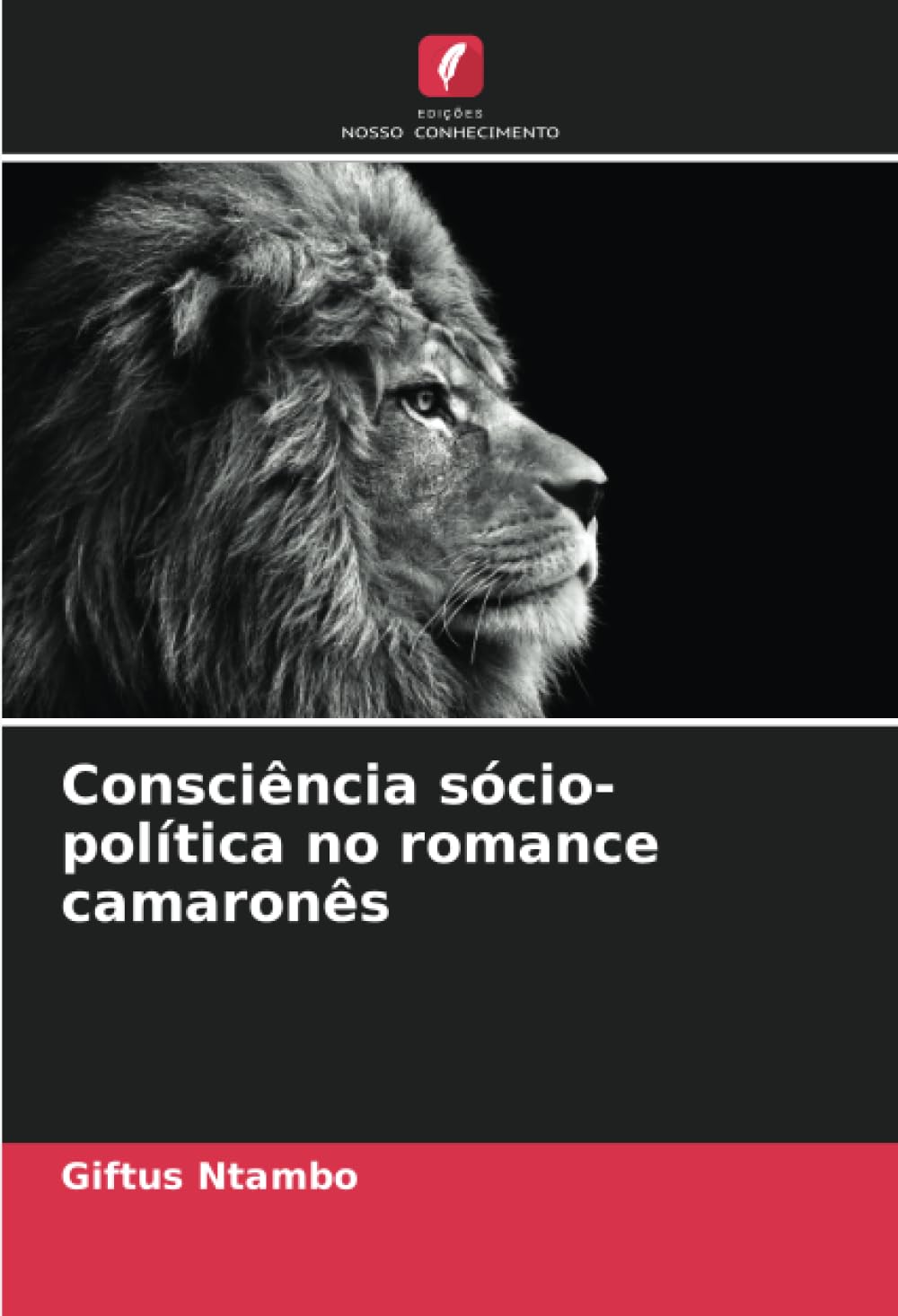 capítulo por capítulo baixar Consciência sócio-política no romance camaronês