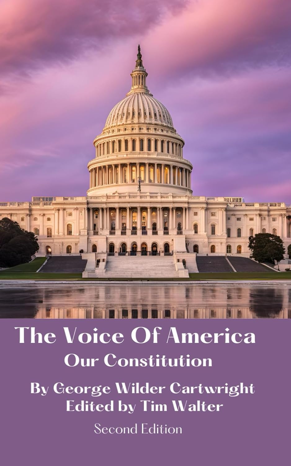 capítulo por capítulo baixar The Voice of America: Our Constitution