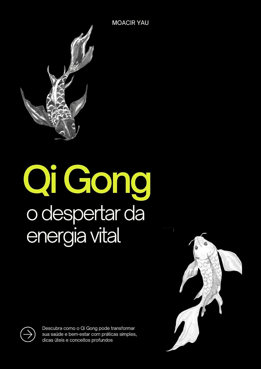 Qi Gong: O despertar da energia vital baixar o livro de graça