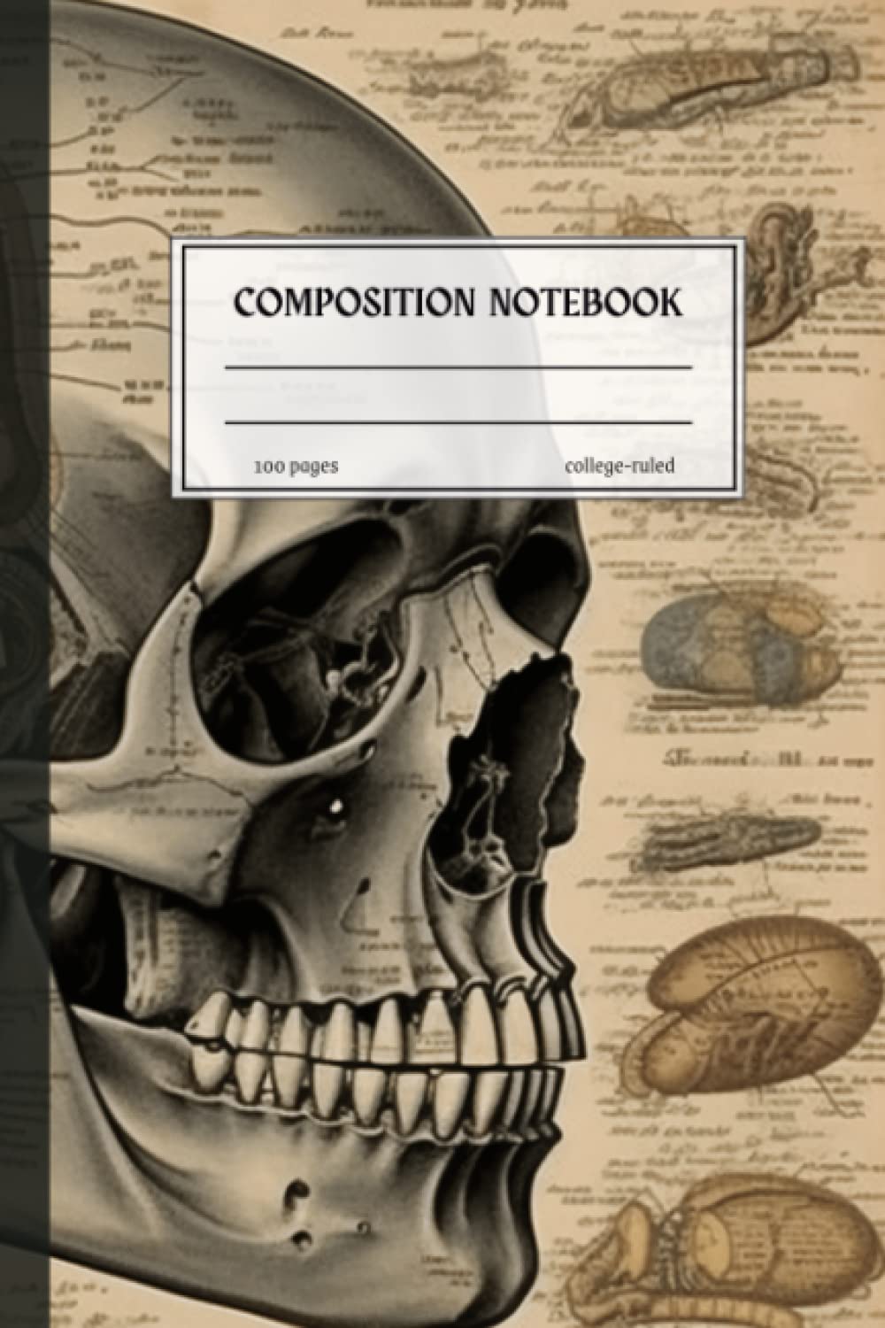 Composition Notebook College Ruled: Vintage Human Anatomy Illustration for School, College, or Work | 6x9 inches, 120 Pages baixar livro de graça