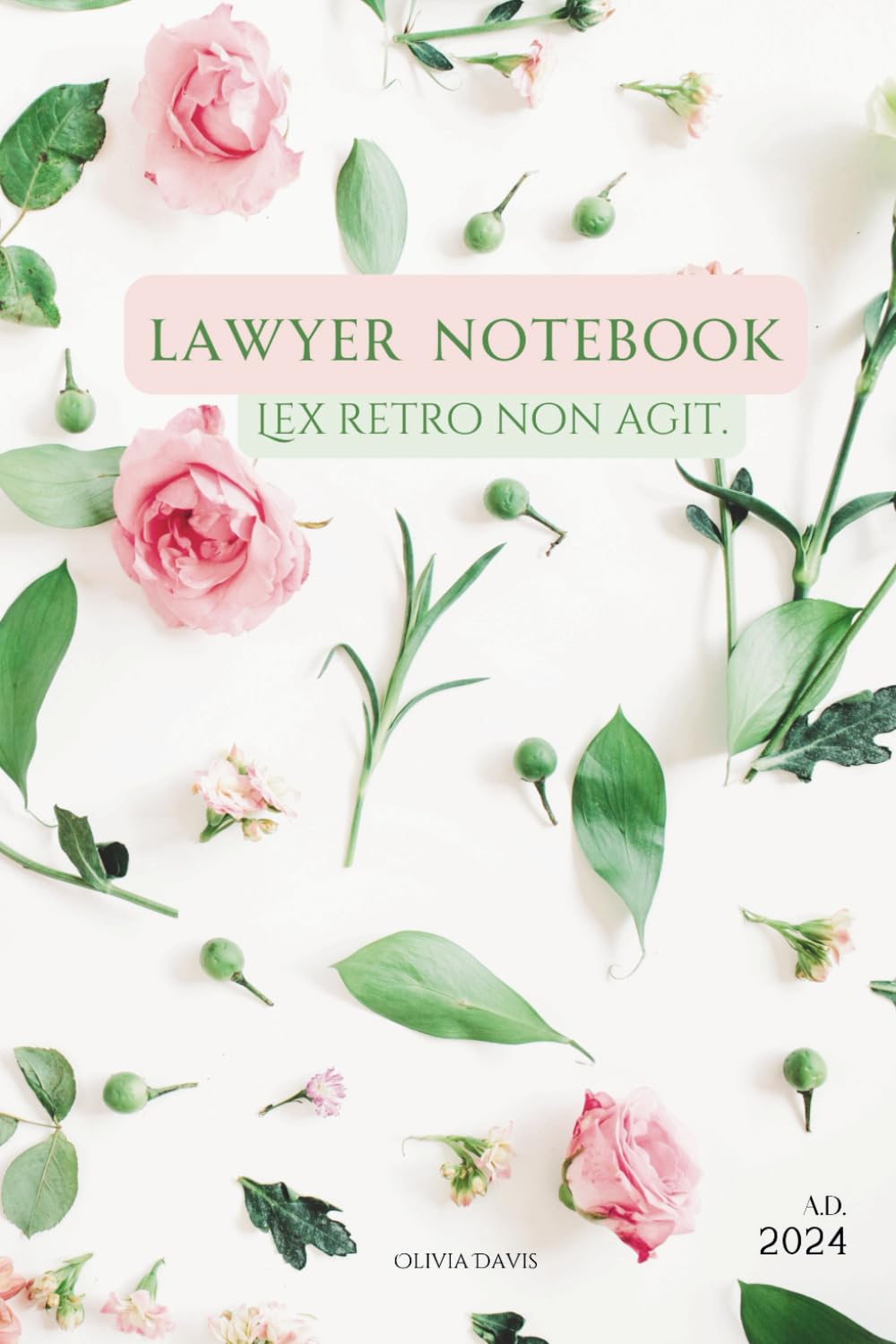 Lawyer Notebook: Practical Legal Notes for Professionals - Optimize Your Legal Practice! The Perfect Gift for Any Lawyer! baixar livro de graça