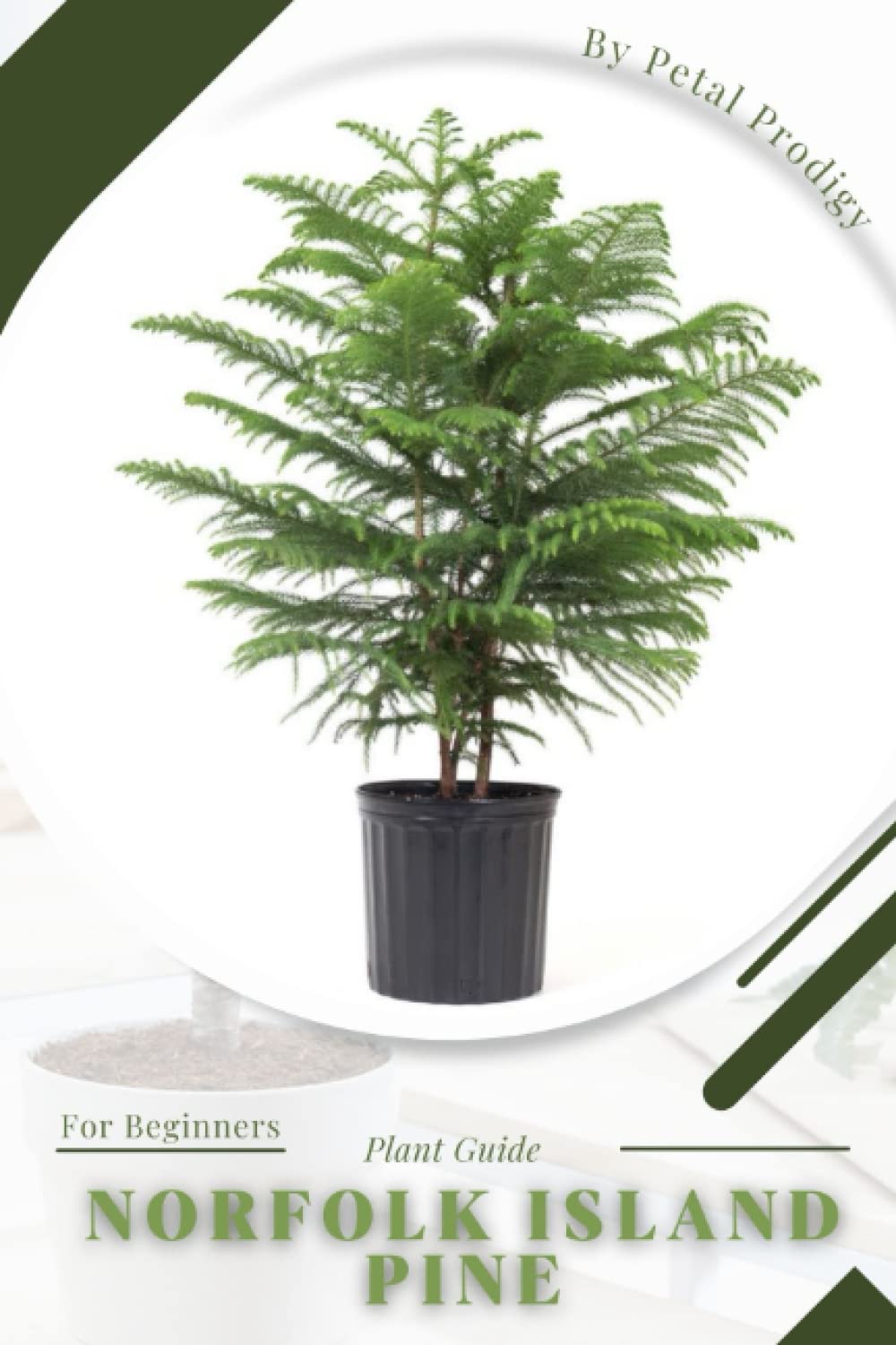 Norfolk Island Pine: Prodigy Petal, Plant Guide baixar o livro de graça