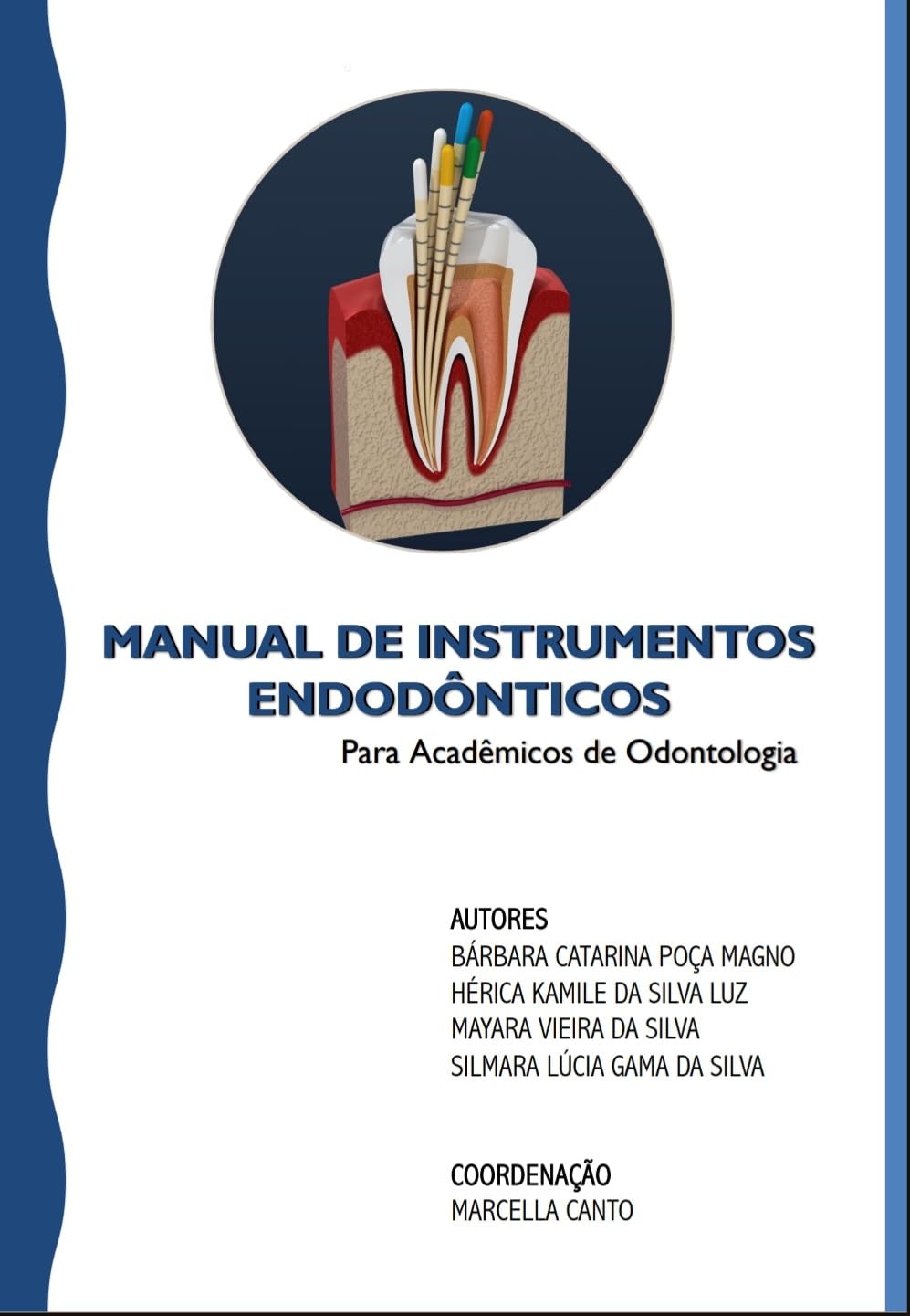 capítulo por capítulo baixar Manual Ilustrado de Instrumentos Endodônticos para Acadêmicos de Odontologia