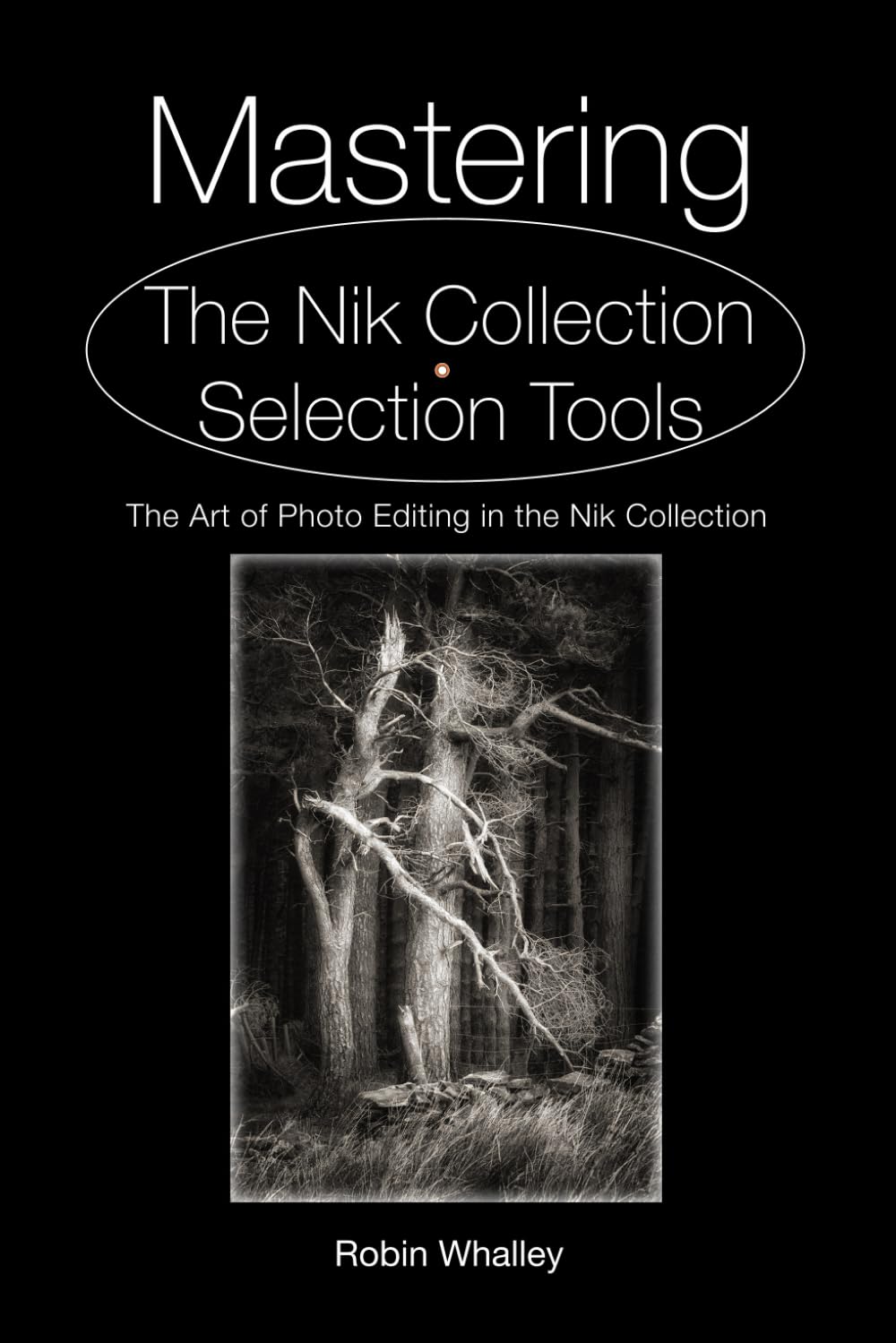 ler totalmente Mastering The Nik Collection Selection Tools: The Art of Photo Editing in The Nik Collection