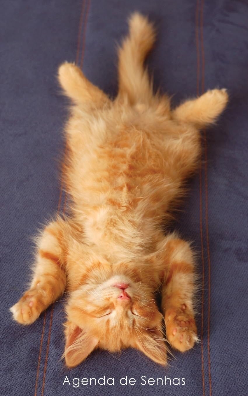 Agenda de Senhas: Agenda para endereços eletrônicos e senhas: Capa gatinho ruivo a relaxar - Português (Brasil): 10 baixar livro de graça