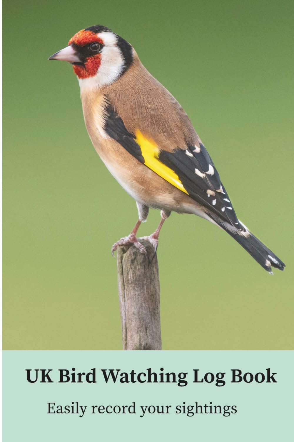 UK Bird Watching Log Book: Record Your Bird Sightings, Locations & Notes: Simple bird watching journal for tracking garden birds and nature observations in the UK baixar livro de graça