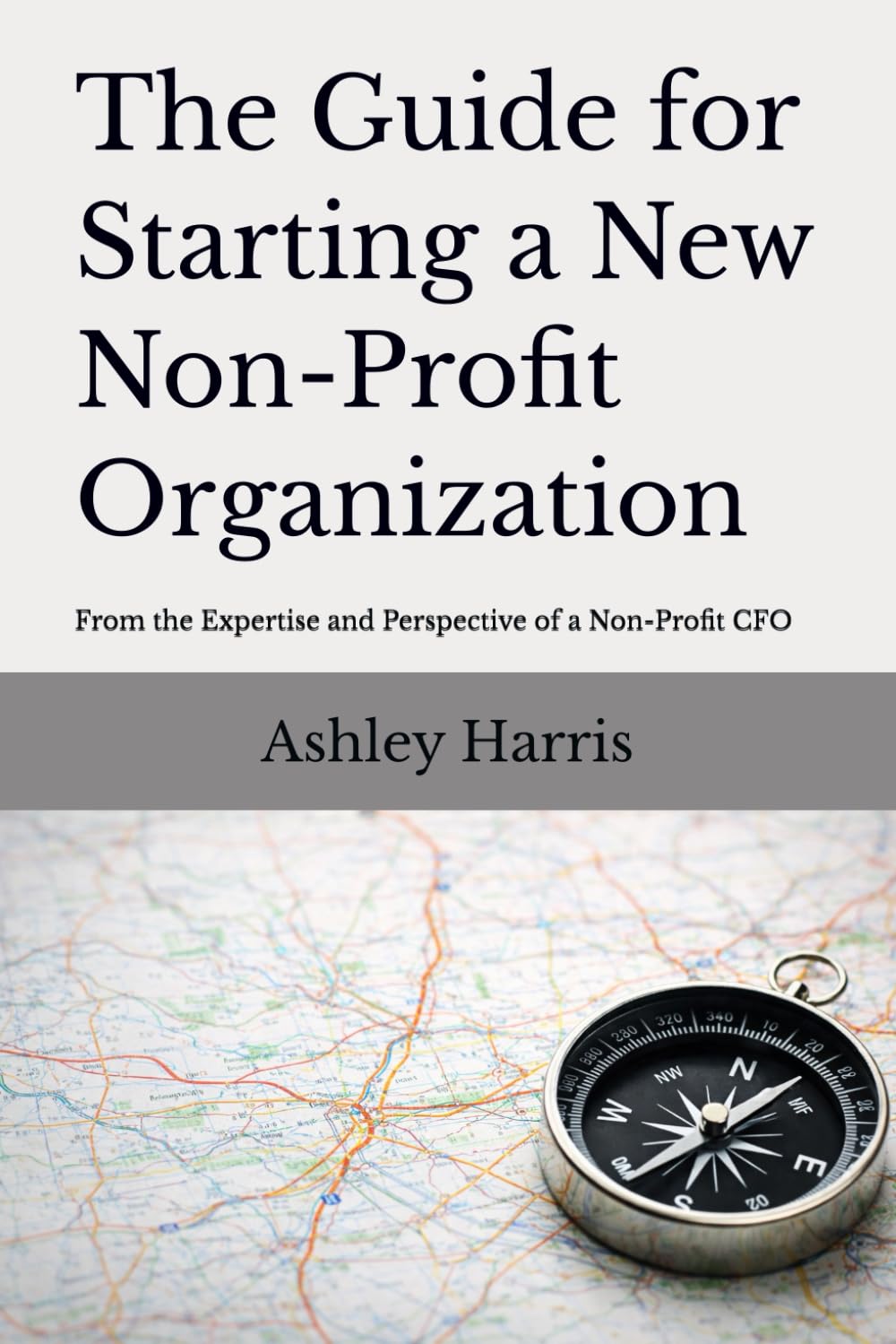 ler totalmente The Guide For Starting A New Non-Profit Organization: From the Expertise and Perspective of a Non-Profit CFO