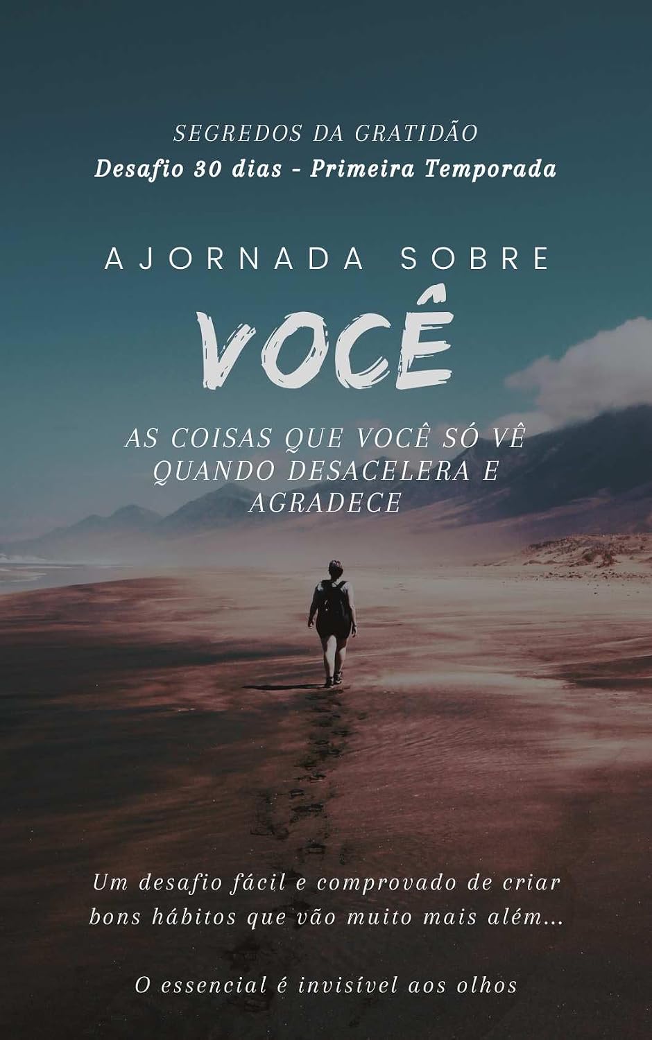 Desafio Gratidão 30 dias - A Chave: As Coisas Que Você Só Vê Quando Desacelera e Agradece baixar o livro de graça