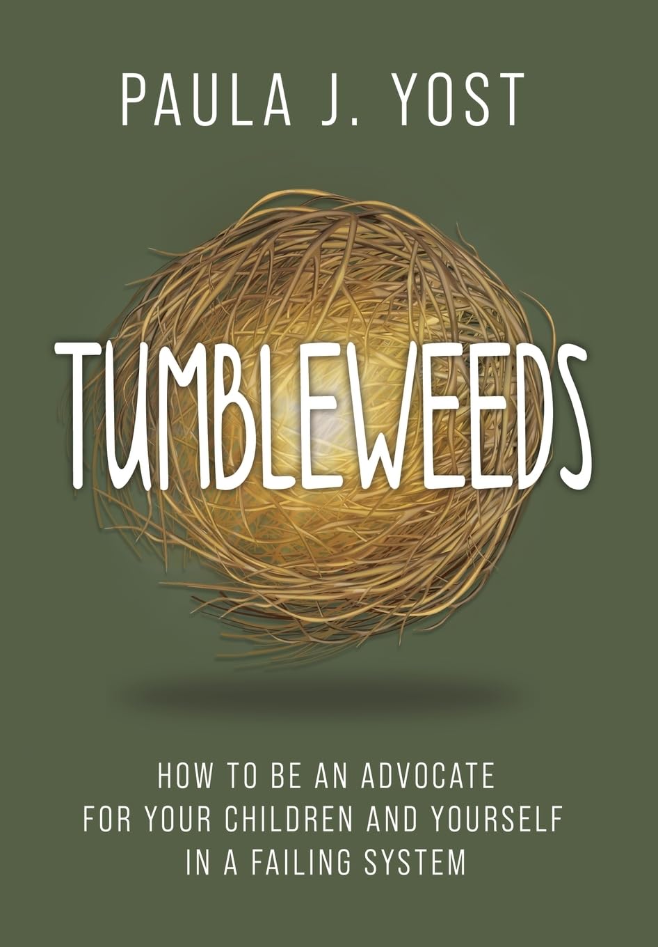 Tumbleweeds: How to be an Advocate for Your Children and Yourself in a Failing System baixar livro de graça