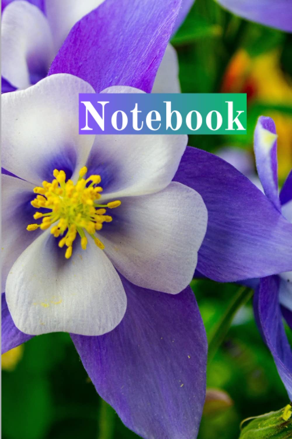 capítulo por capítulo baixar Notepad