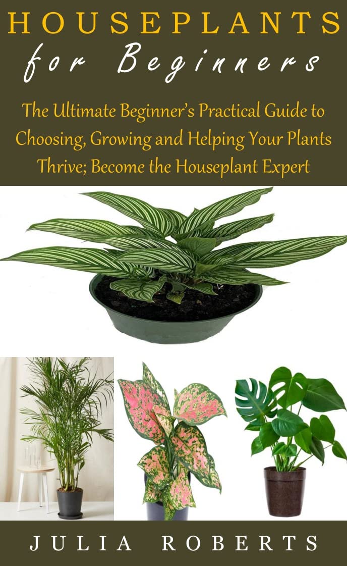 HOUSEPLANTS FOR BEGINNERS: The Ultimate Beginner’s Practical Guide to Choosing, Growing and Helping Your Plants Thrive; Become the Houseplant Expert (English Edition) baixar o livro de graça