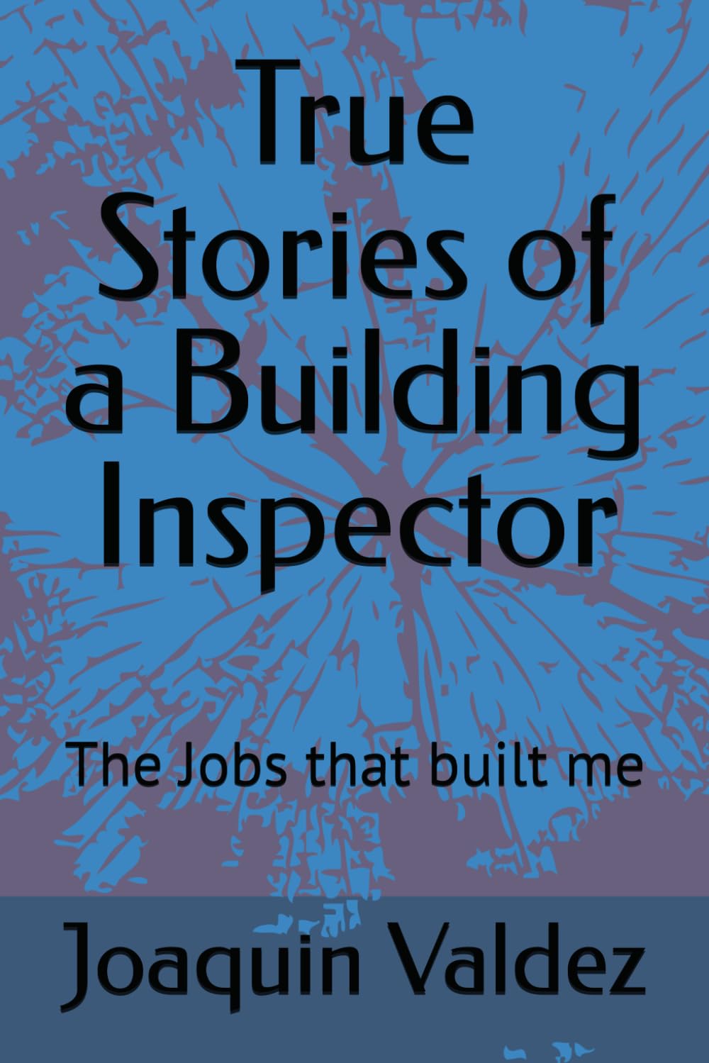 ler totalmente True Stories of a Building Inspector: The Jobs that built me