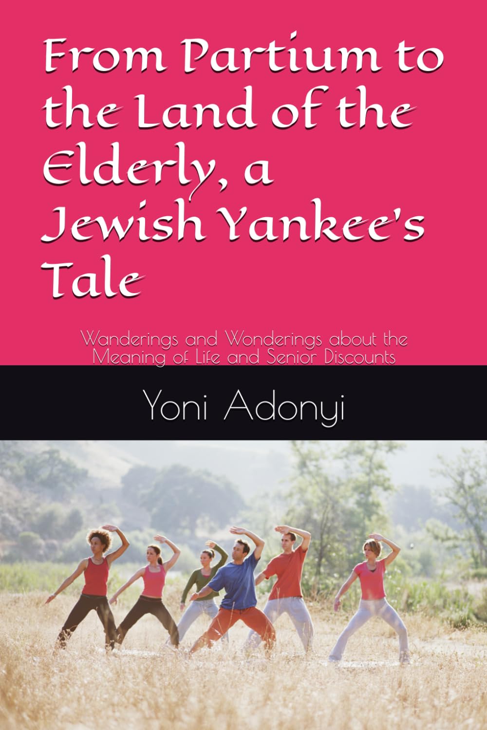 From Partium to the Land of the Elderly, a Jewish Yankee’s Tale: Wanderings and Wonderings about the Meaning of Life and Senior Discounts baixar livro de graça