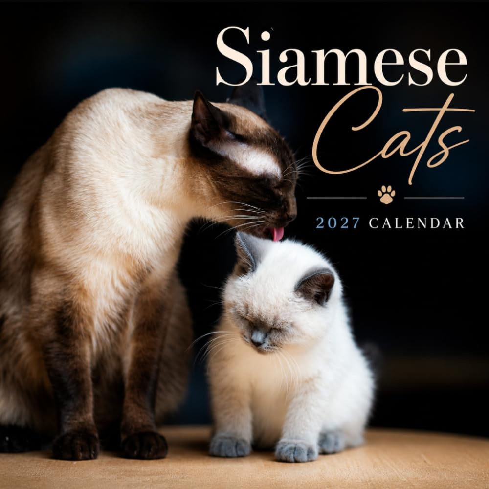 Cozy Siamese Cats Calendar 2027