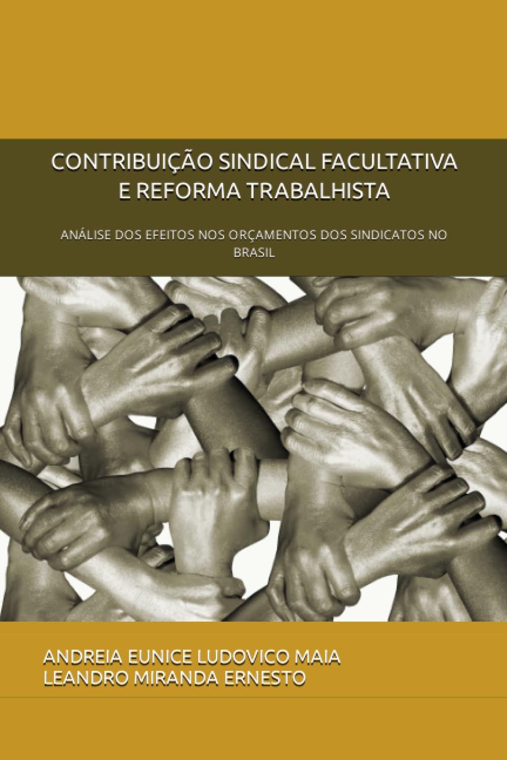 CONTRIBUIÇÃO SINDICAL FACULTATIVA E REFORMA TRABALHISTA: ANÁLISE DOS EFEITOS NOS ORÇAMENTOS DOS SINDICATOS NO BRASIL (Portuguese Edition) baixar livro de graça