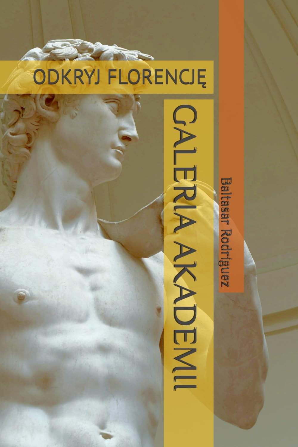 Galeria Akademii: Odkryj FlorencjĘ baixar o livro de graça