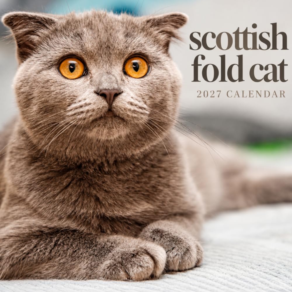 Scottish Fold Cat Calendar 2027: Domestic Cat Photography baixar livro de graça