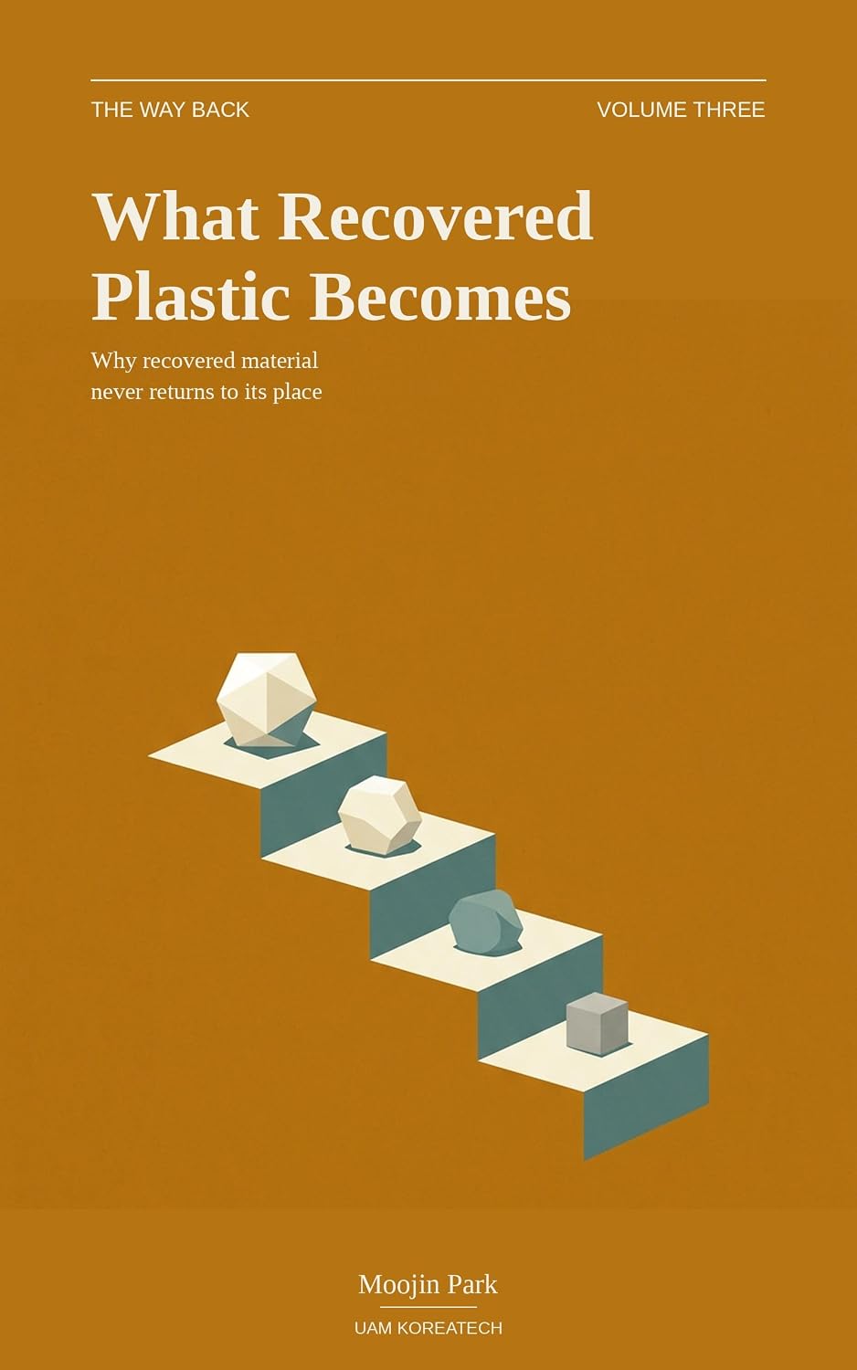 What Recovered Plastic Becomes: Why Recovered Material Never Returns to Its Place (The Way Back Book 3) (English Edition) baixar livro de graça