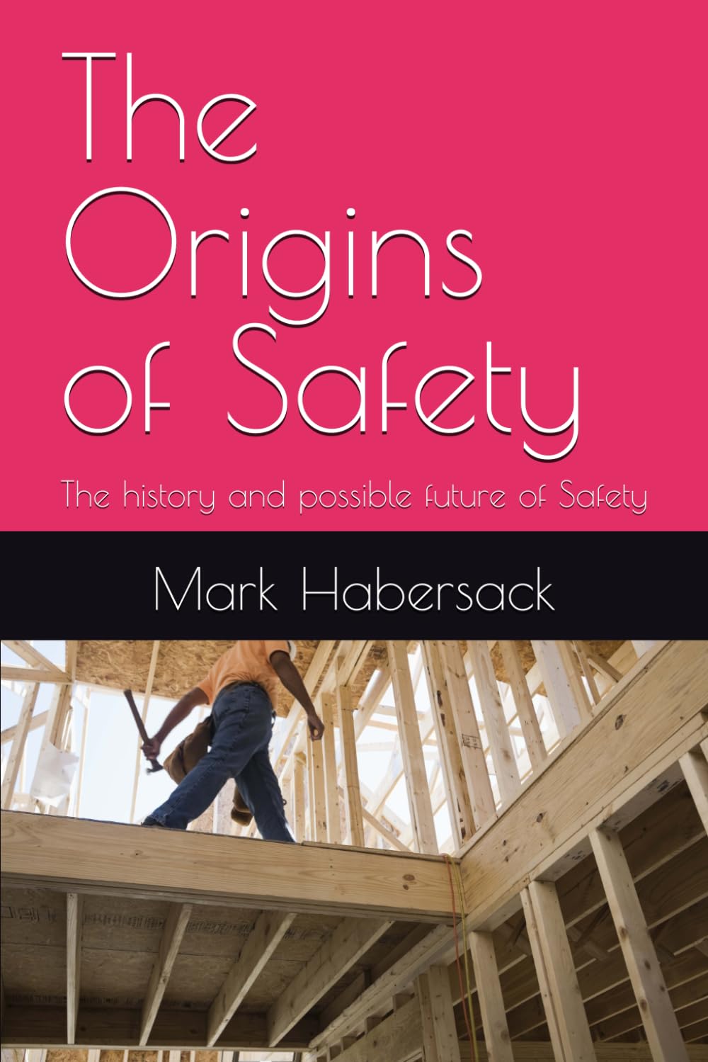 capítulo por capítulo baixar The Origins of Safety: The history and possible future of Safety