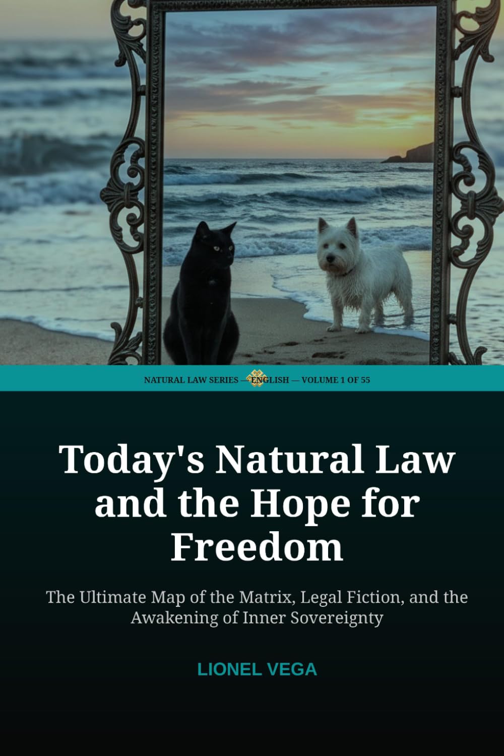 Today's Natural Law and the Hope for Freedom: The Ultimate Map of the Matrix, Legal Fiction, and the Awakening of Inner Sovereignty (NATURAL LAW: SCIENCE OR MYTH? (55-Volume Collection)) baixar o livro de graça