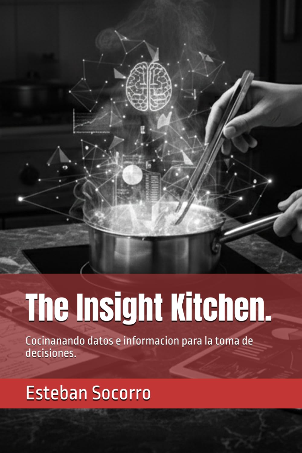 The Insight Kitchen.: Cocinanando datos e informacion para la toma de decisiones. (Spanish Edition) baixar o livro de graça