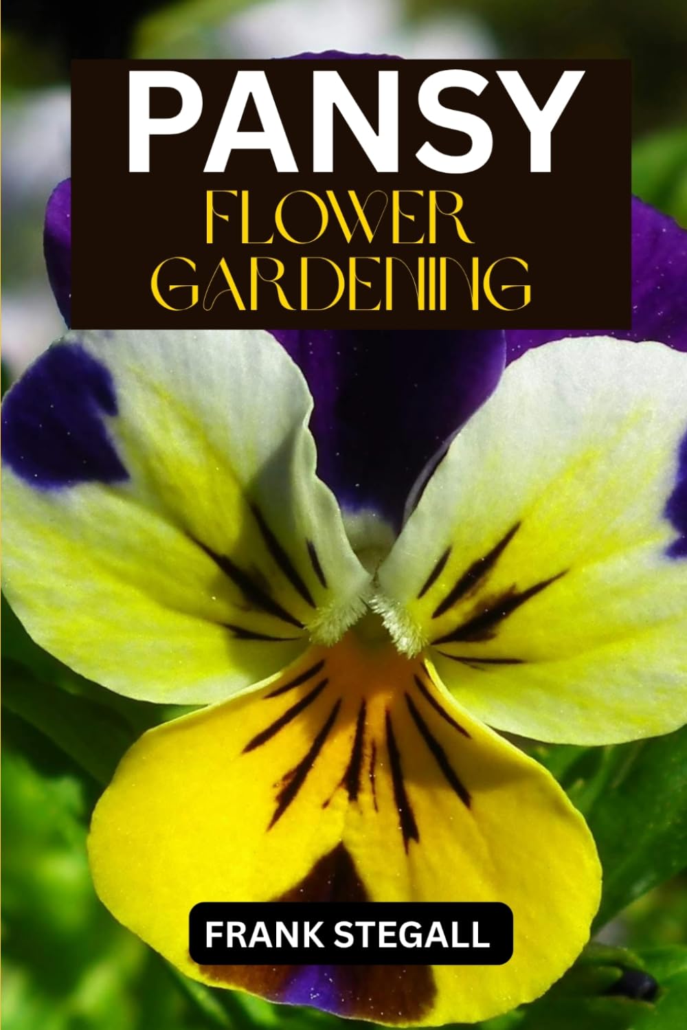 PANSY FLOWER GARDENING: STEP BY STEP BEGINNERS GUIDE TO GROWING, CARING AND HARVESTING baixar livro de graça