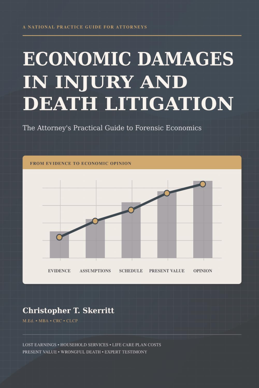 Economic Damages in Injury and Death Litigation: The Attorney's Practical Guide to Forensic Economics baixar livro de graça